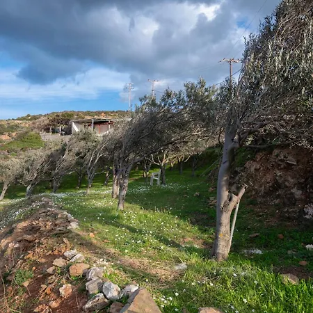Holiday home Aegean Andros